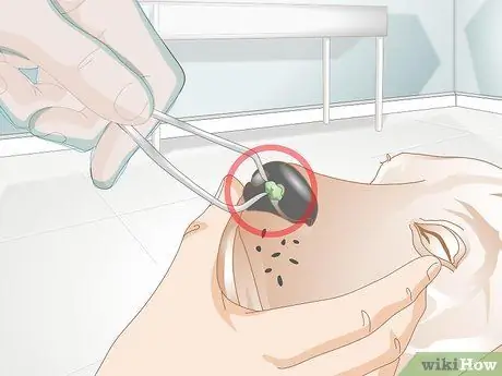 Лечить носовые кровотечения у собак Шаг 9