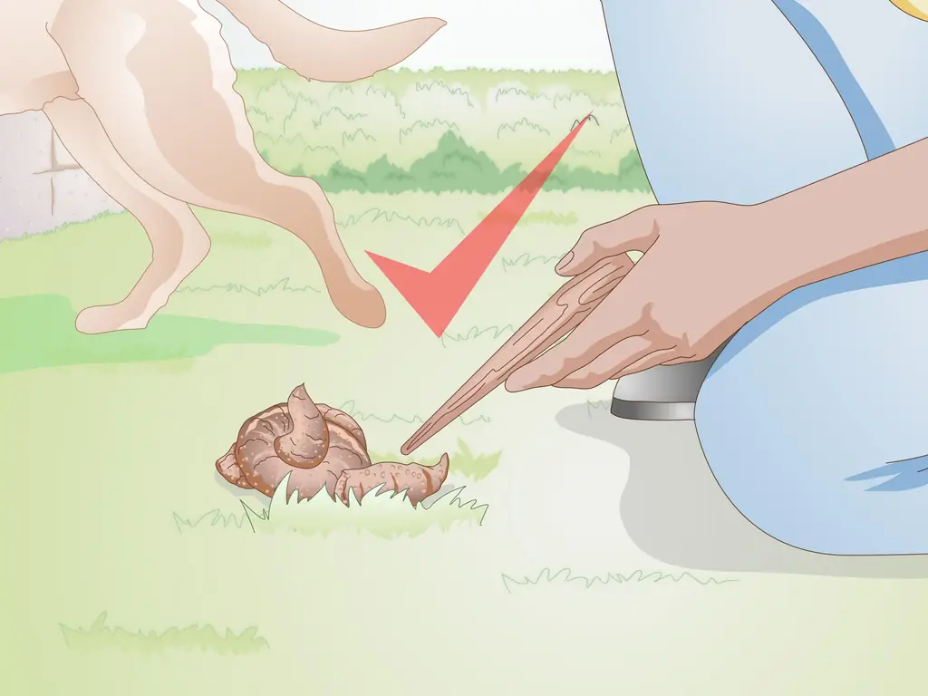 Как лечить носовое кровотечение у собак (с иллюстрациями)