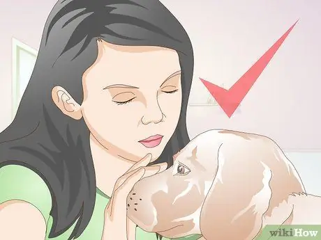 Обработка ран на собаках Шаг 1