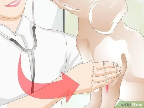 Лечить раны на собаках Шаг 11