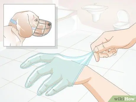 Лечить раны на собаках Шаг 6