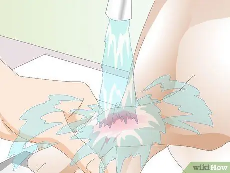 Лечить раны на собаках Шаг 8