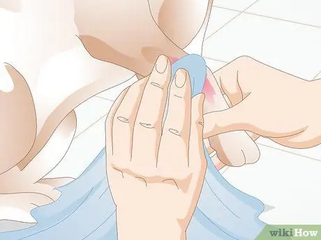 Лечить раны на собаках Шаг 9