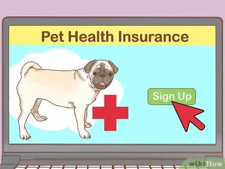 Вылечите собаку от укуса змеи в Австралии Шаг 10