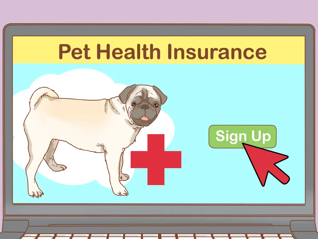 Как вылечить собаку от укуса змеи в Австралии: 10 шагов