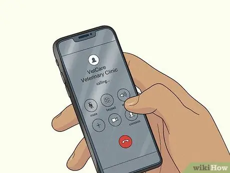 Лечить хромоту у собак Шаг 8