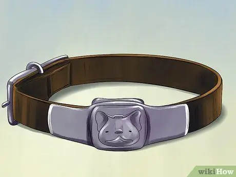 Почитай и помни собаку после смерти Шаг 14