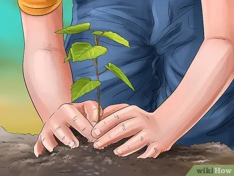 Почитай и помни собаку после смерти Шаг 9