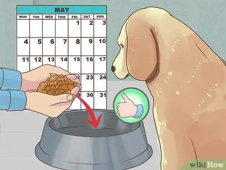 Управление диабетом у пожилых собак Шаг 4