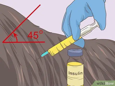 Управление диабетом у пожилых собак Шаг 8