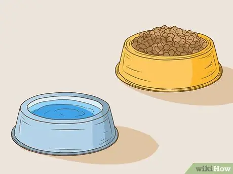 Управление когнитивной дисфункцией у пожилых собак Шаг 10