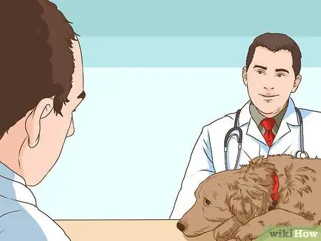 Управление когнитивной дисфункцией у пожилых собак Шаг 4