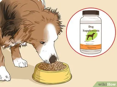 Управление когнитивной дисфункцией у пожилых собак Шаг 7