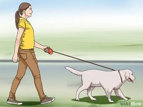 Управление когнитивной дисфункцией у пожилых собак Шаг 8