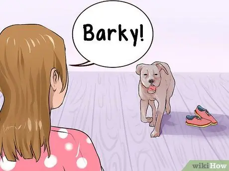 Лечить Пику у пожилых собак Шаг 10