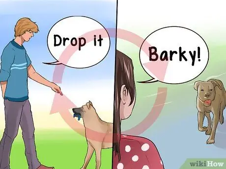 Лечить Пику у пожилых собак Шаг 11