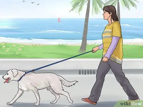 Лечить Пику у пожилых собак, шаг 2