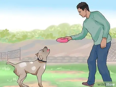 Лечить Пику у пожилых собак Шаг 3