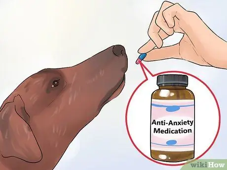 Лечить Пику у пожилых собак Шаг 4