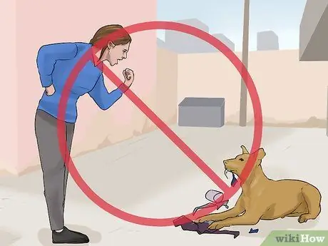 Лечить Пику у пожилых собак Шаг 5