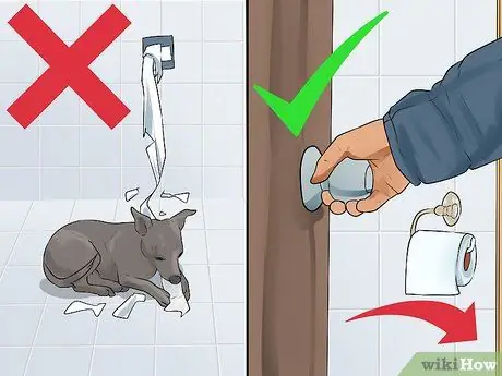 Лечить Пику у пожилых собак Шаг 6