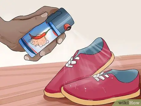 Лечить Пику у пожилых собак Шаг 7