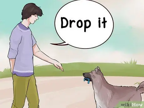 Лечить Пику у пожилых собак Шаг 9