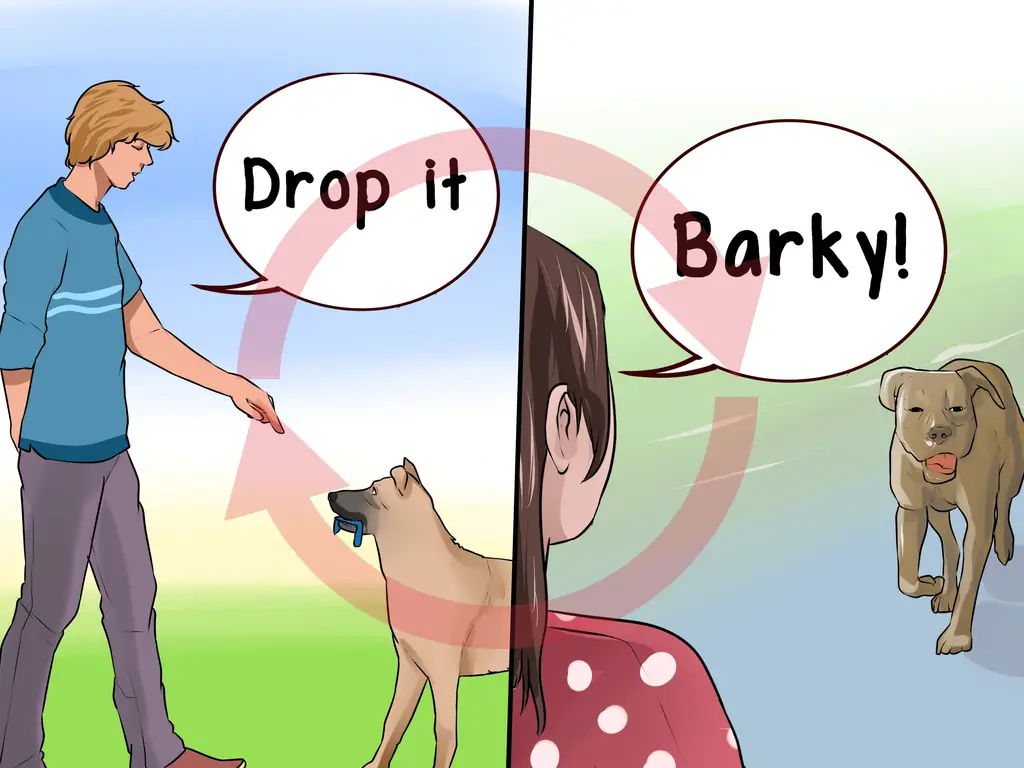 3 способа лечения пики у пожилых собак