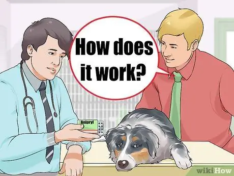 Лечите деменцию у собак с помощью аниприла, шаг 1