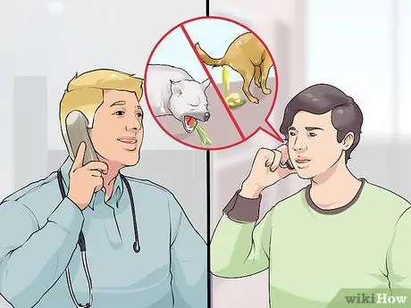 Лечите деменцию у собак с помощью аниприла Шаг 5