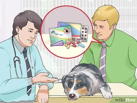 Лечите деменцию у собак с помощью аниприла Шаг 6