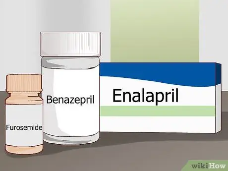 Покормите пожилую собаку с болезнью сердца Шаг 11