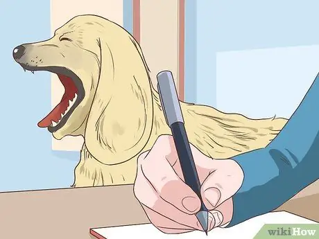 Диагностика сердечных заболеваний у пожилых собак Шаг 1