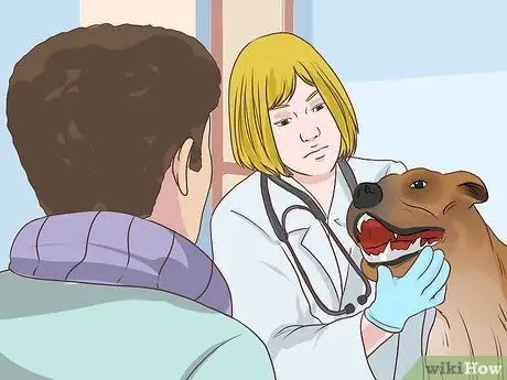 Диагностика сердечных заболеваний у пожилых собак Шаг 6