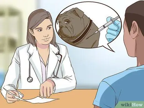 Получите полное гериатрическое обследование для вашей собаки Шаг 13