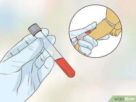 Получите полное гериатрическое обследование для вашей собаки Шаг 16