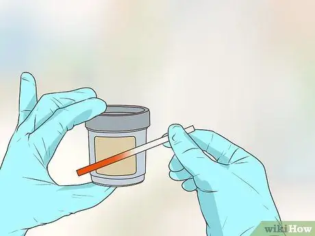 Получите полное гериатрическое обследование для вашей собаки Шаг 17