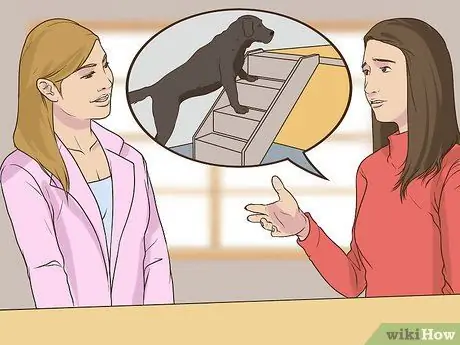 Пройдите полное гериатрическое обследование вашей собаки Шаг 3