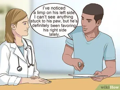 Получите полное гериатрическое обследование для вашей собаки Шаг 8