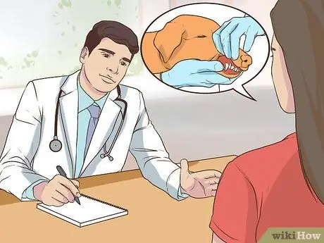 Получите полное гериатрическое обследование для вашей собаки Шаг 9