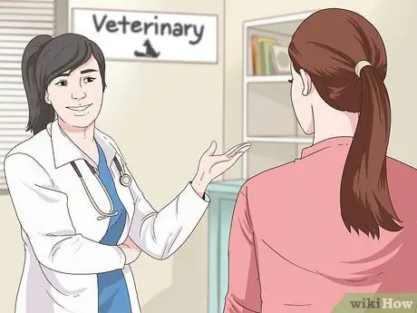 Как справиться с ожирением у пожилых собак Шаг 1