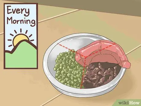 Как справиться с ожирением у пожилых собак, шаг 2