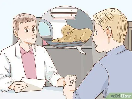 Лечить эндокринные заболевания у пожилых собак Шаг 10