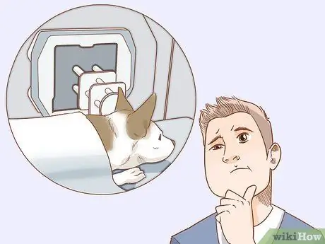 Лечить эндокринные заболевания у пожилых собак Шаг 12