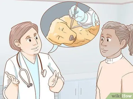 Лечить эндокринные заболевания у пожилых собак Шаг 6