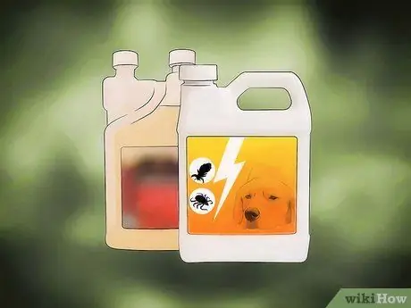 Избавиться от собачьих вшей Шаг 6