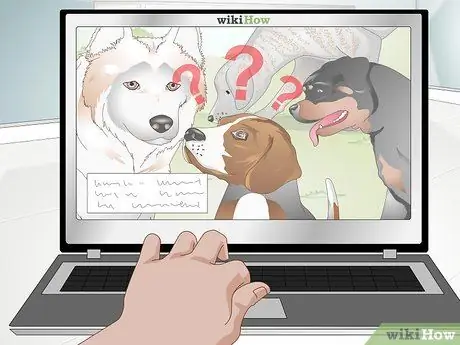 Вылечить дрожжевую кожную инфекцию у собаки Шаг 11