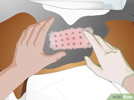 Вылечить дрожжевую кожную инфекцию у собаки Шаг 3