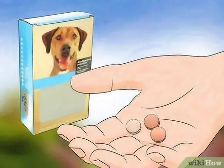 Предотвратить собачьих ушных клещей Шаг 11
