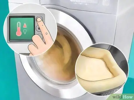 Предотвратить собачьих ушных клещей Шаг 14